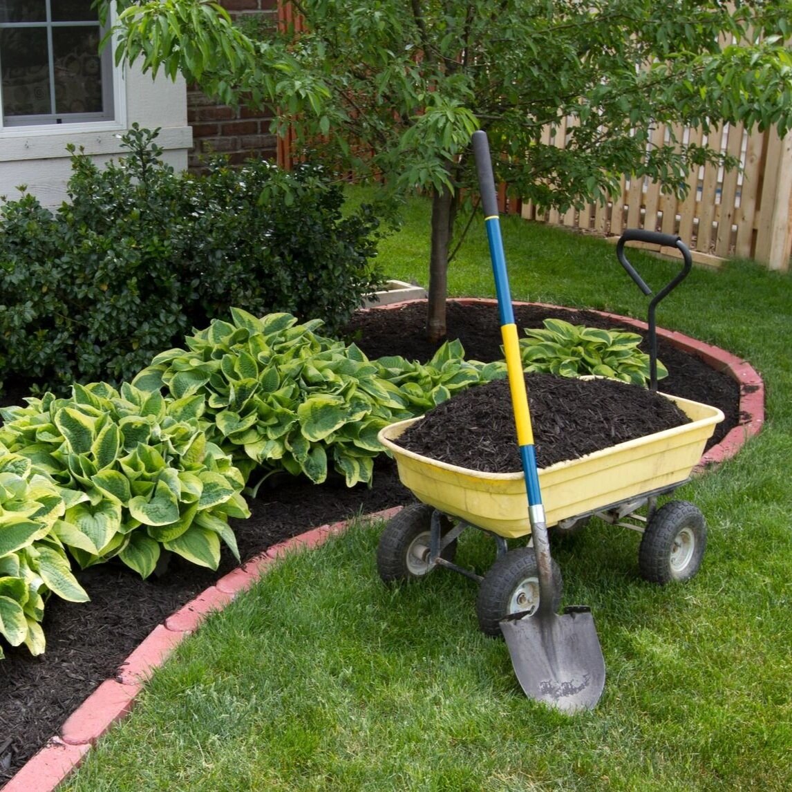 Landscaping & Architectural Requests